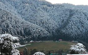 Apple House Shimla 2*